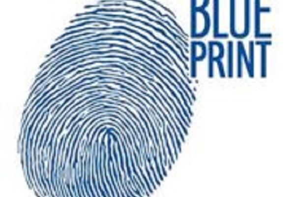 Filtro Aria BLUE PRINT ADL142220