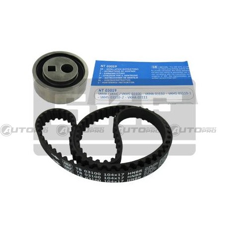 Kit Distribuzione SKF VKMA03100 - 1