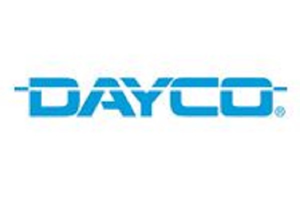 Cinghia Distribuzione DAYCO 941035