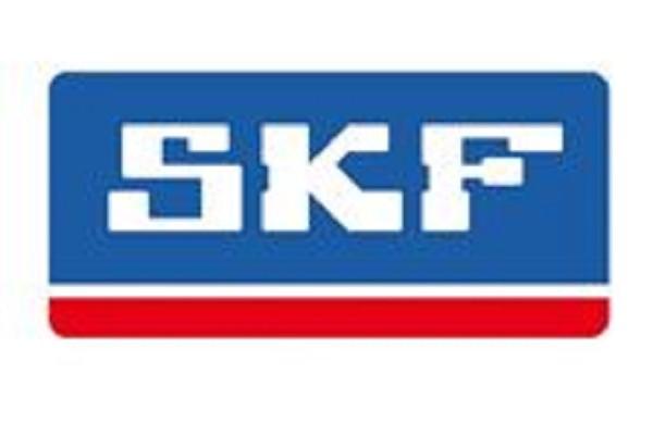 Supporto Ammortizzatore Anteriore SKF VKDC35814T