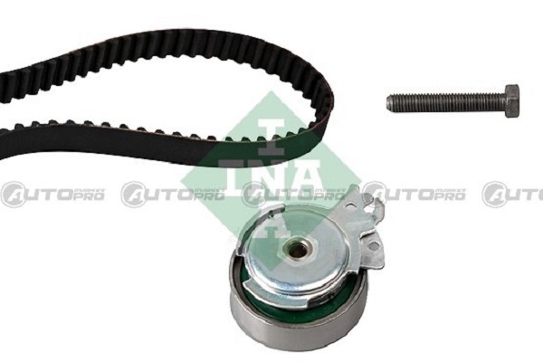 Kit Distribuzione INA 530000410