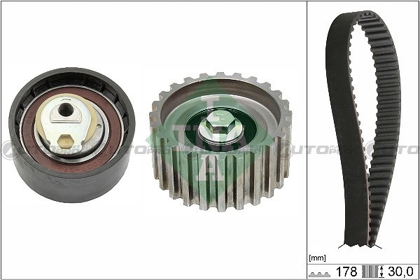 Kit Distribuzione INA 530023210