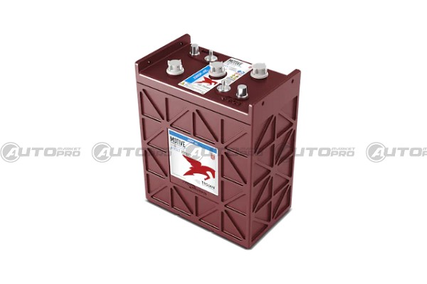 BATTERIA TROJAN T-J305P-AC 6V 330Ah DEEP-CYCLE