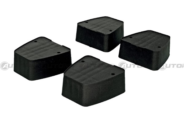 KIT RIALZI X WHITE BEAR